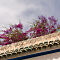 20140505-008.jpg