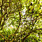 20140507-007.jpg