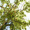 20140507-008.jpg