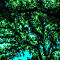 20140509-011.jpg