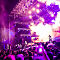 D3N7876.jpg
