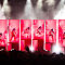 D3N9529.jpg