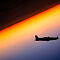 XH1A3851.jpg