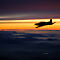 XH1A4035.jpg
