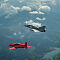 XH1B5333.jpg